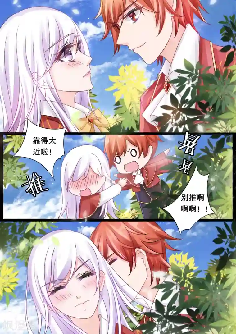 灼灼琉璃夏第31话 教廷的行动3