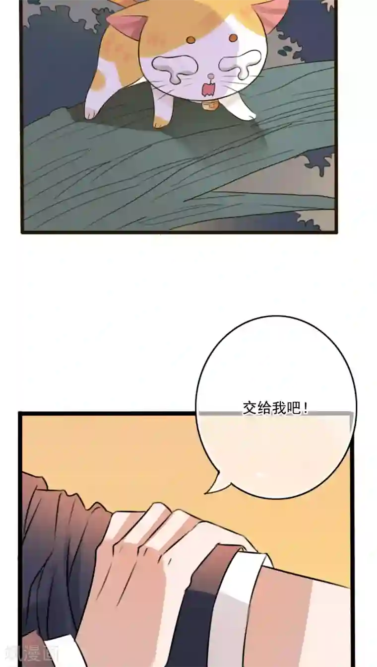 雨后的盛夏第7话 晴天的小秘密1