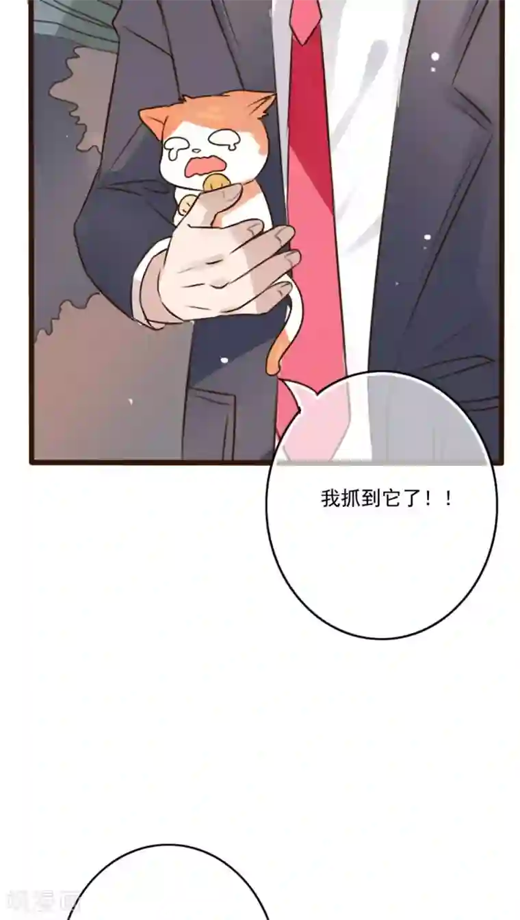 雨后的盛夏第7话 晴天的小秘密1