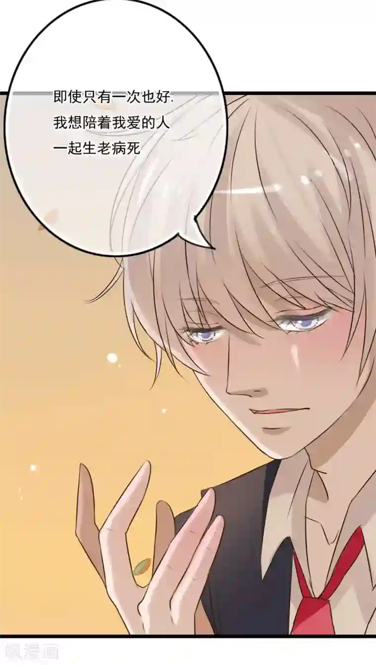 雨后的盛夏第8话 晴天的小秘密2