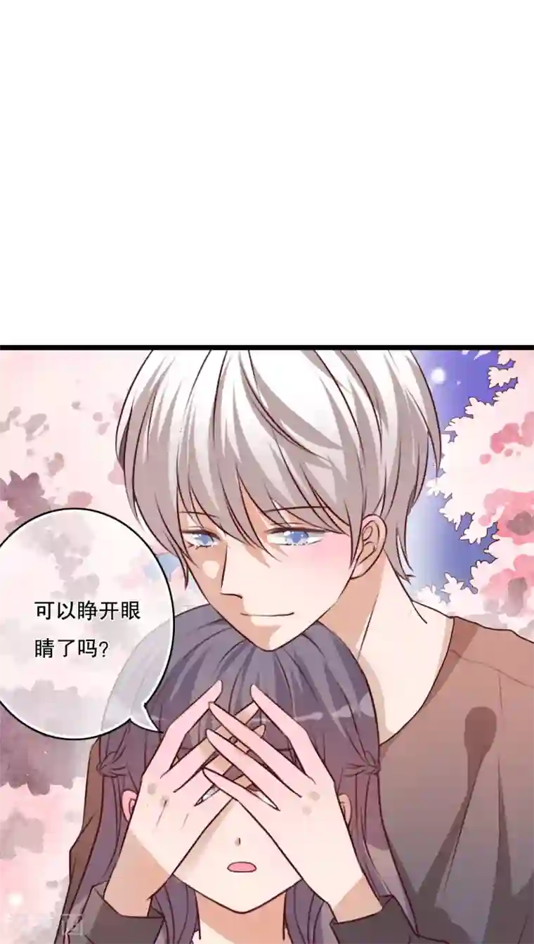 雨后的盛夏第35话 樱花树下