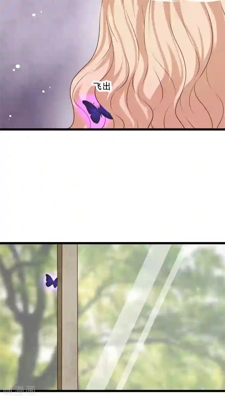 雨后的盛夏第63话 幽冥蝶