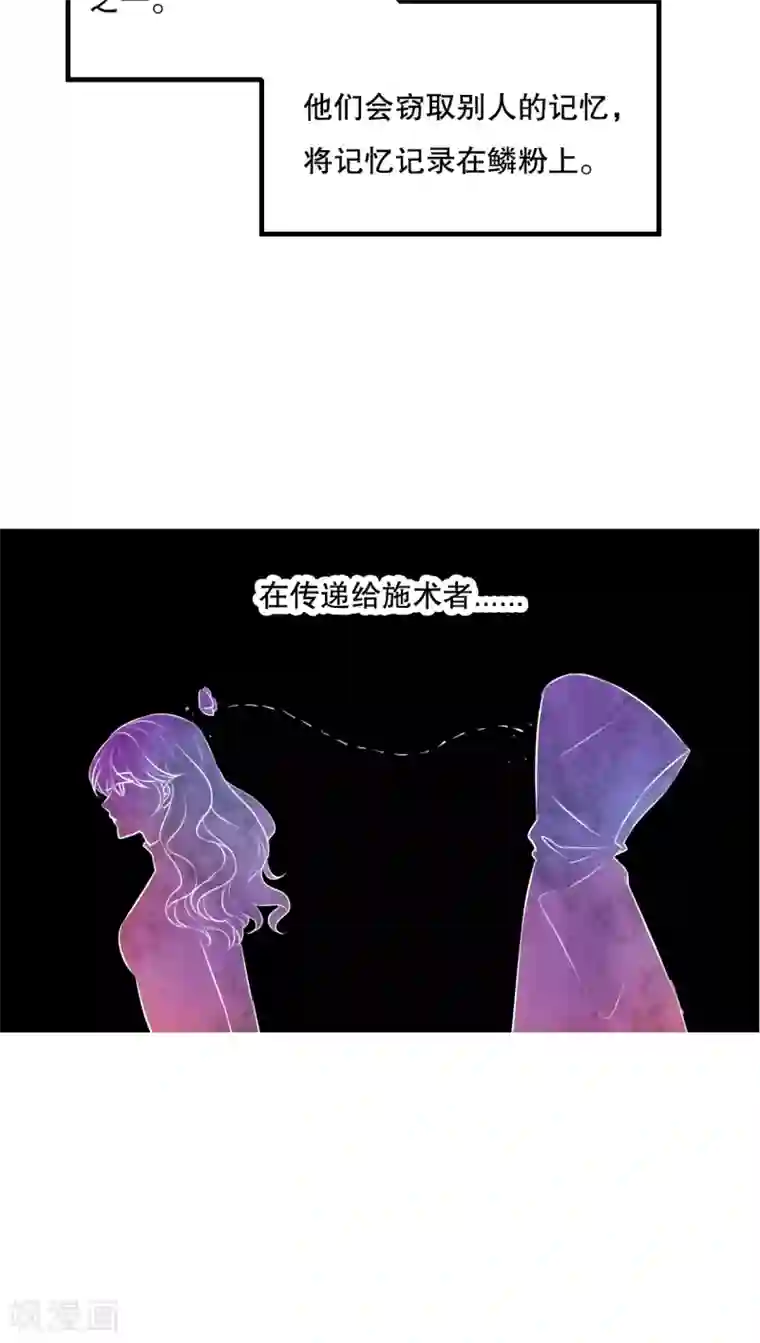 雨后的盛夏第63话 幽冥蝶