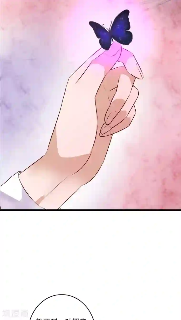 雨后的盛夏第63话 幽冥蝶