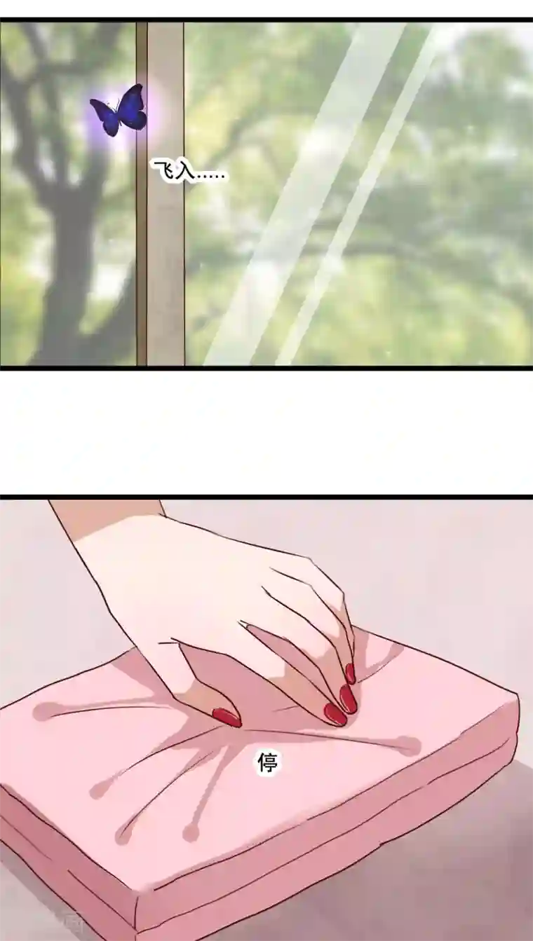 雨后的盛夏第63话 幽冥蝶