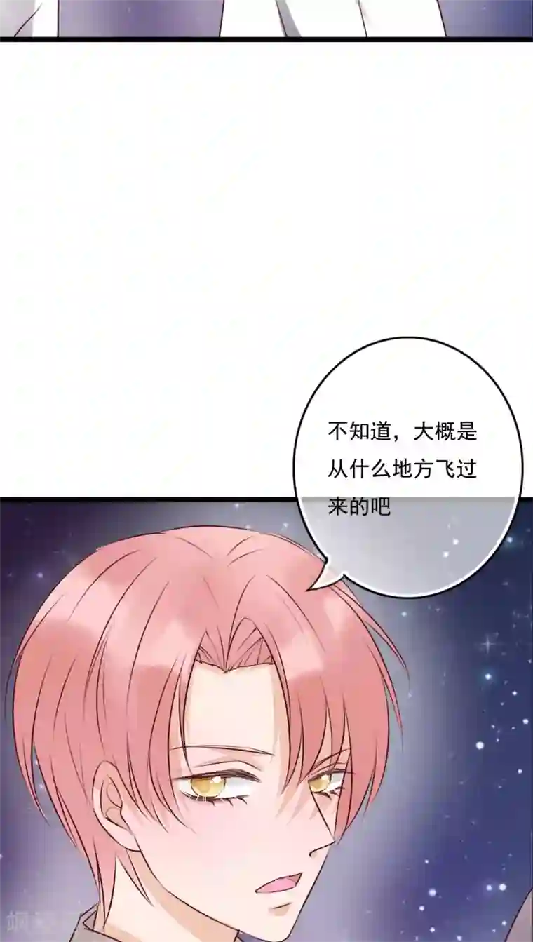 雨后的盛夏第74话 误会