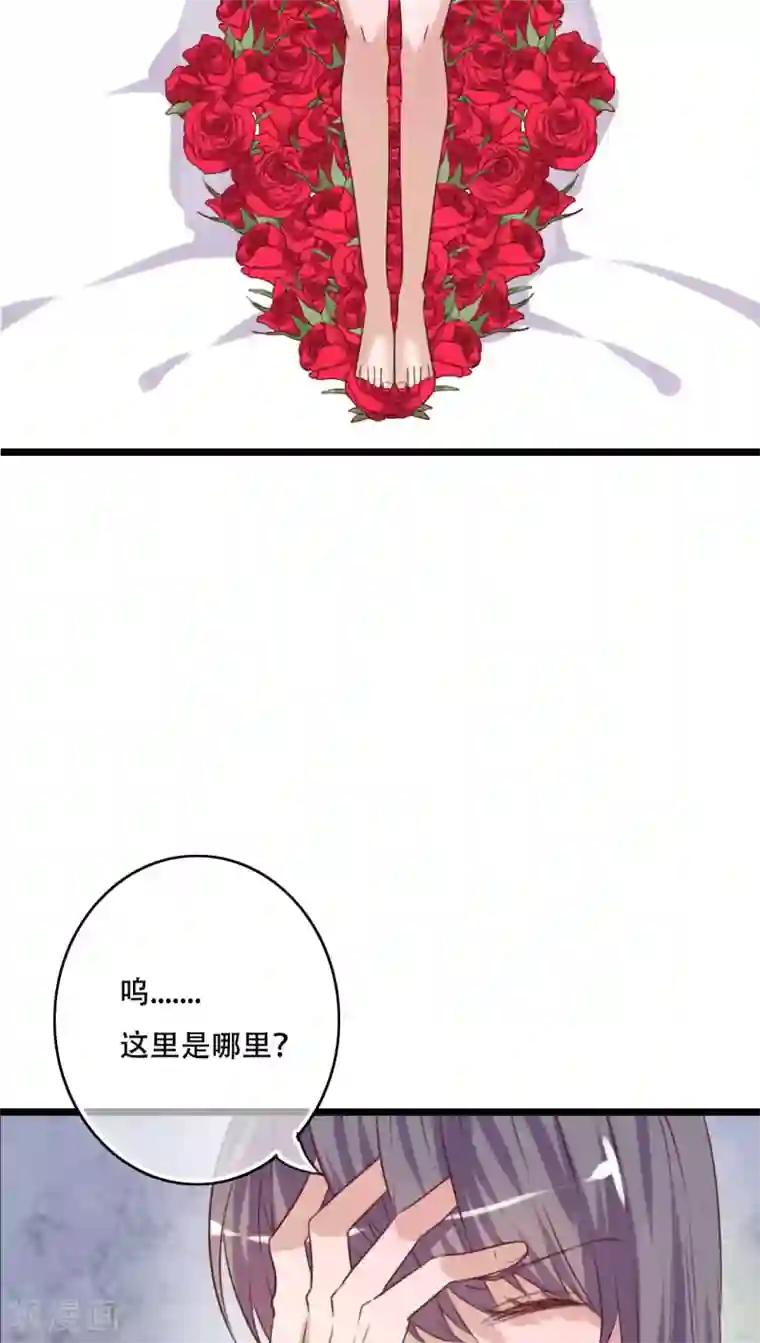 雨后的盛夏第85话 转世