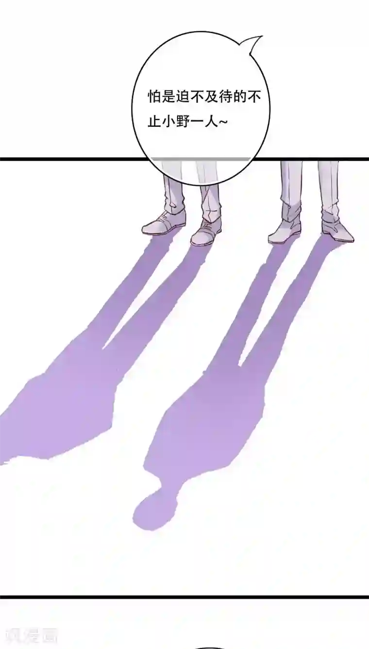 雨后的盛夏最终话 他们的婚礼