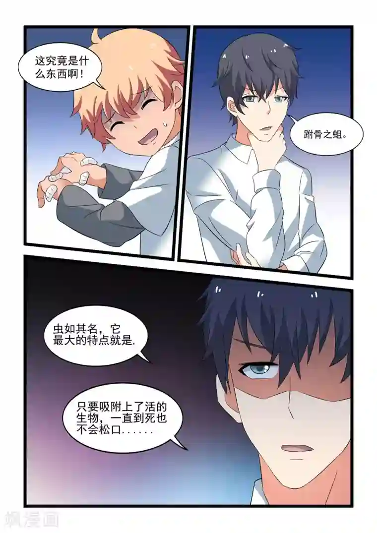 抱紧我的小龙女第33话