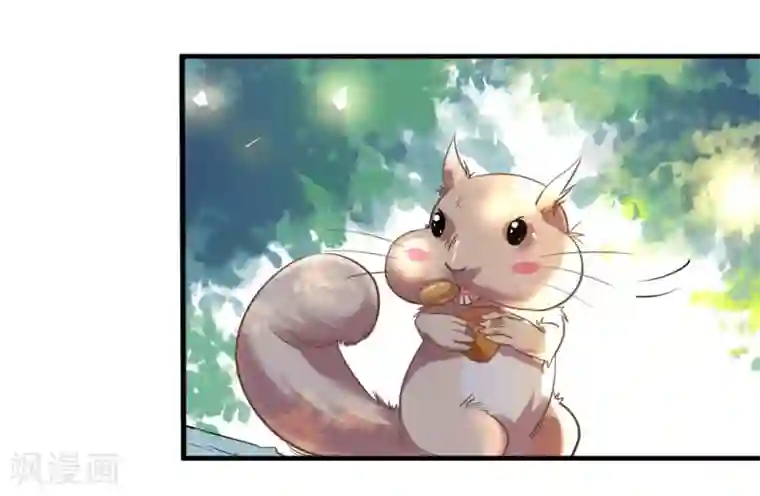 机长大人暖暖爱第45话 热气球上的浪漫情语