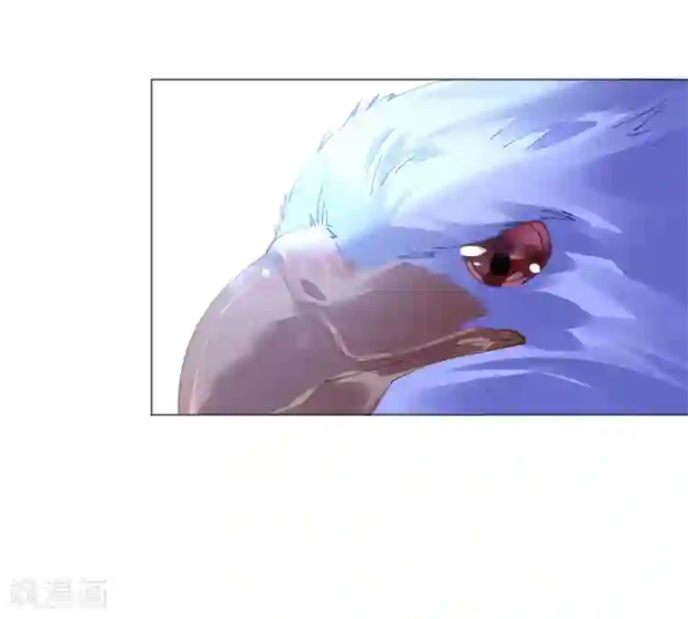 机长大人暖暖爱第50话 菲菲出逃再生意外