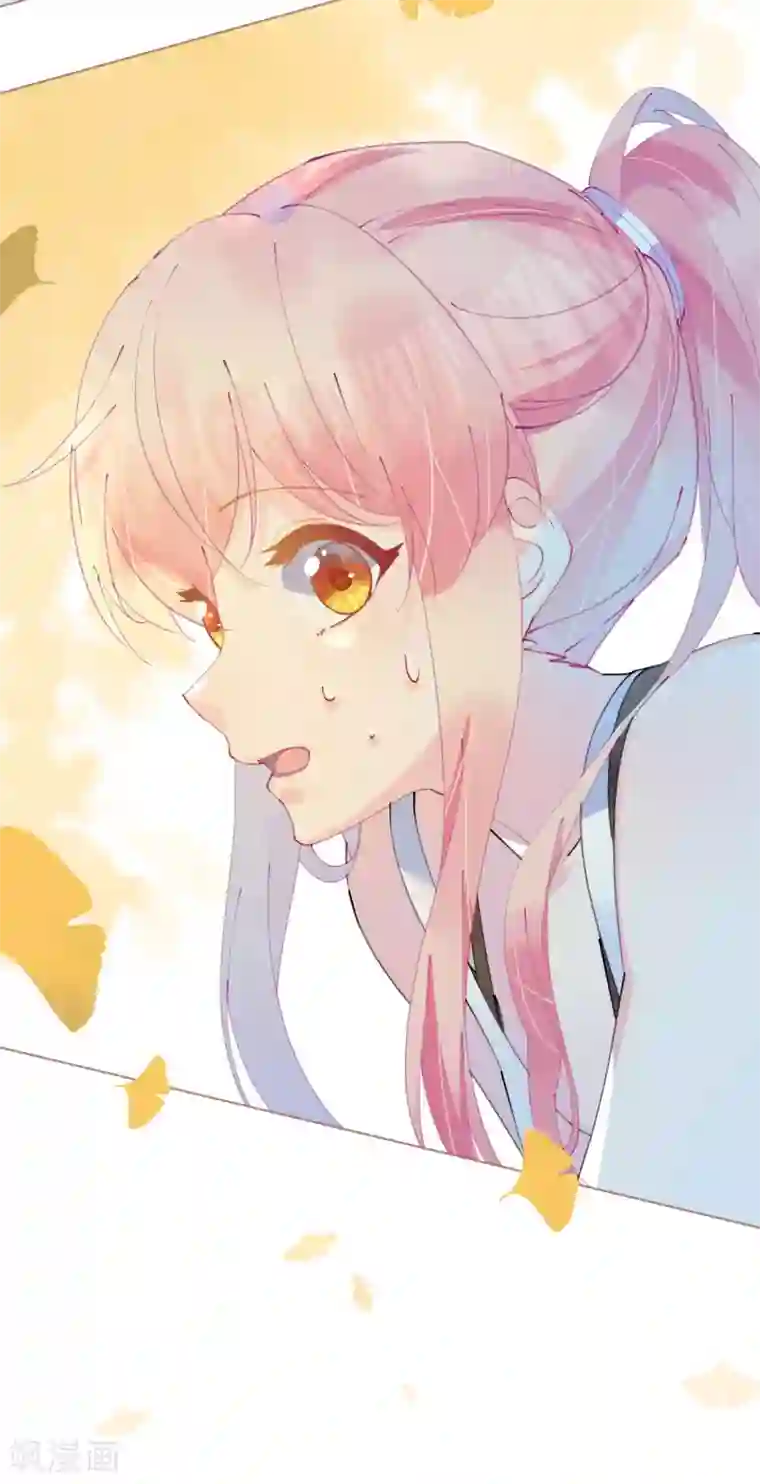 机长大人暖暖爱第90话 小野猫只萌不蠢