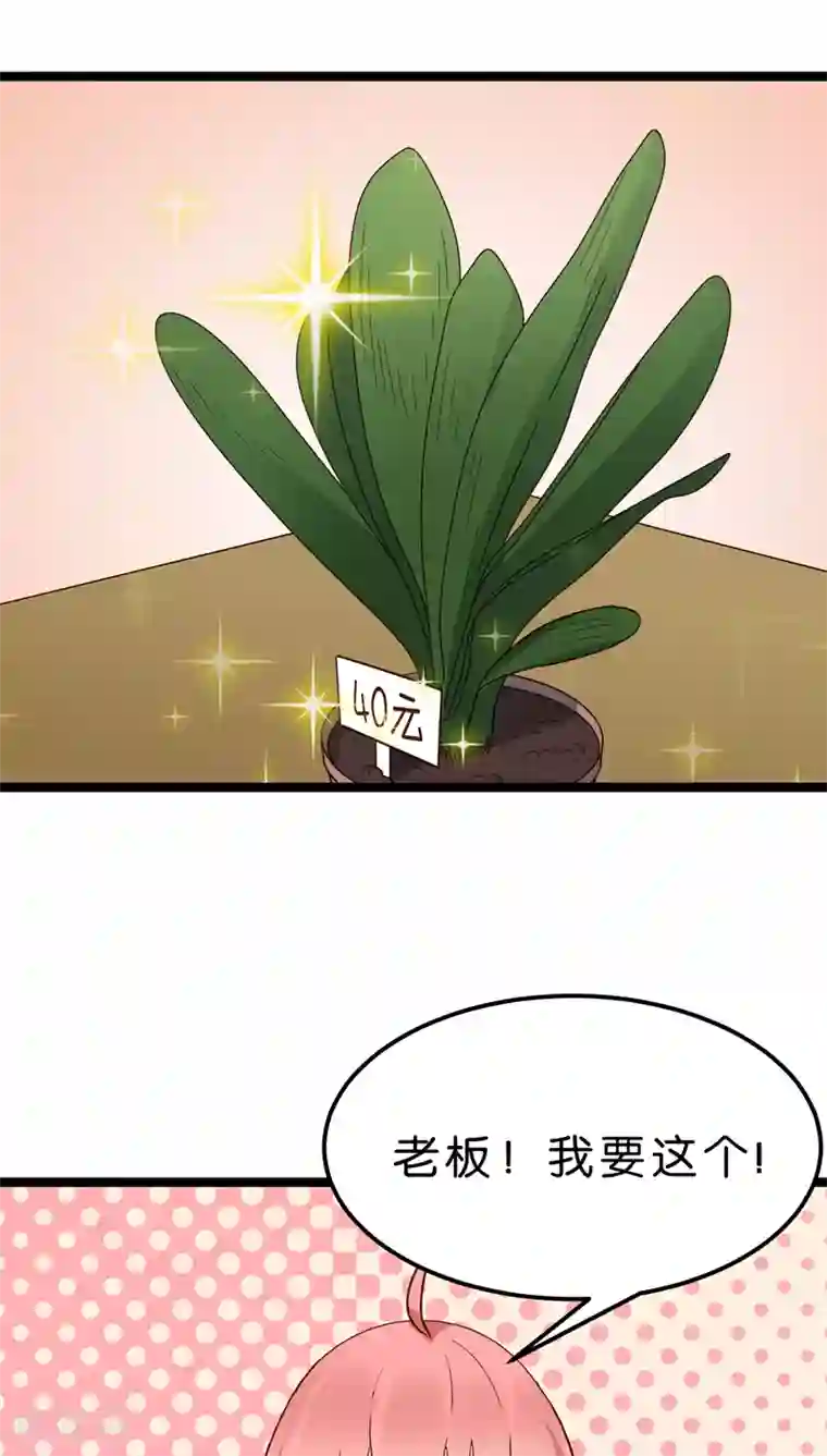 红娘前男友第20话