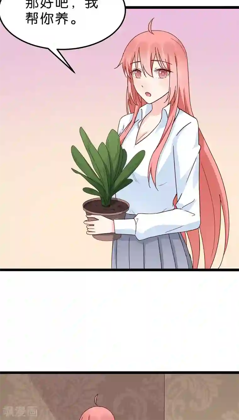 红娘前男友第21话