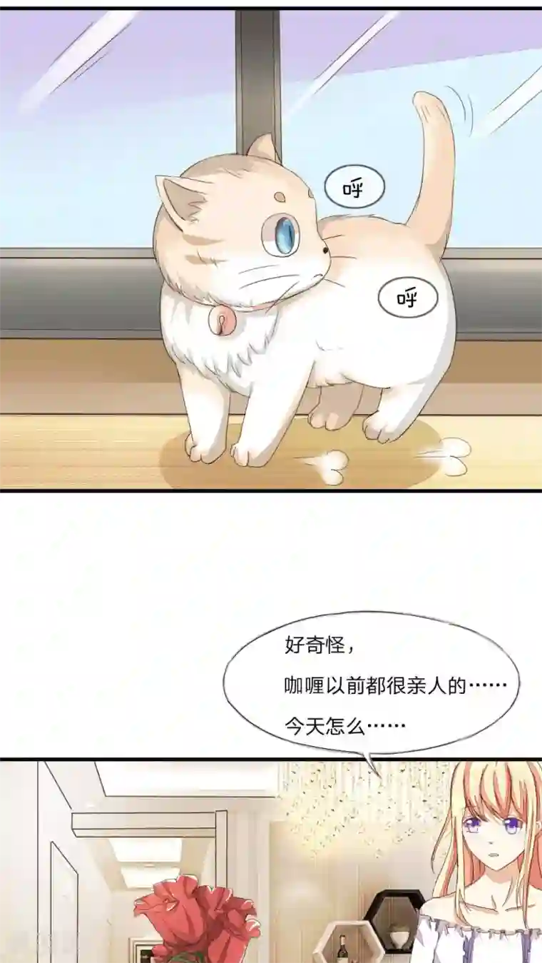 吸血鬼男神第17话 黑暗料理请你吃