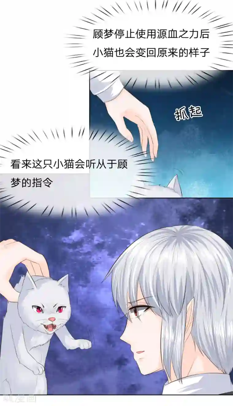 吸血鬼男神第215话 趋于平静