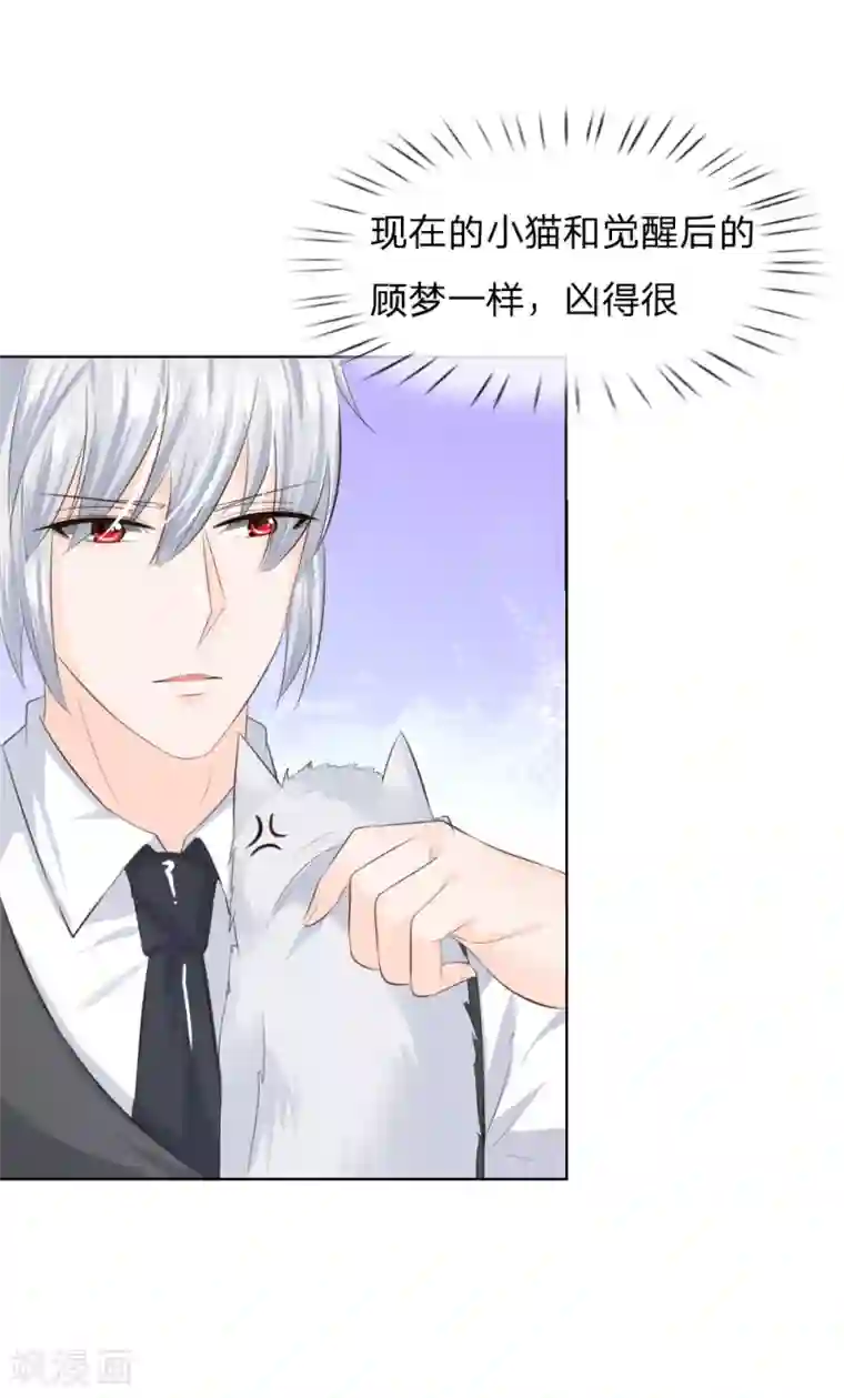 吸血鬼男神第215话 趋于平静