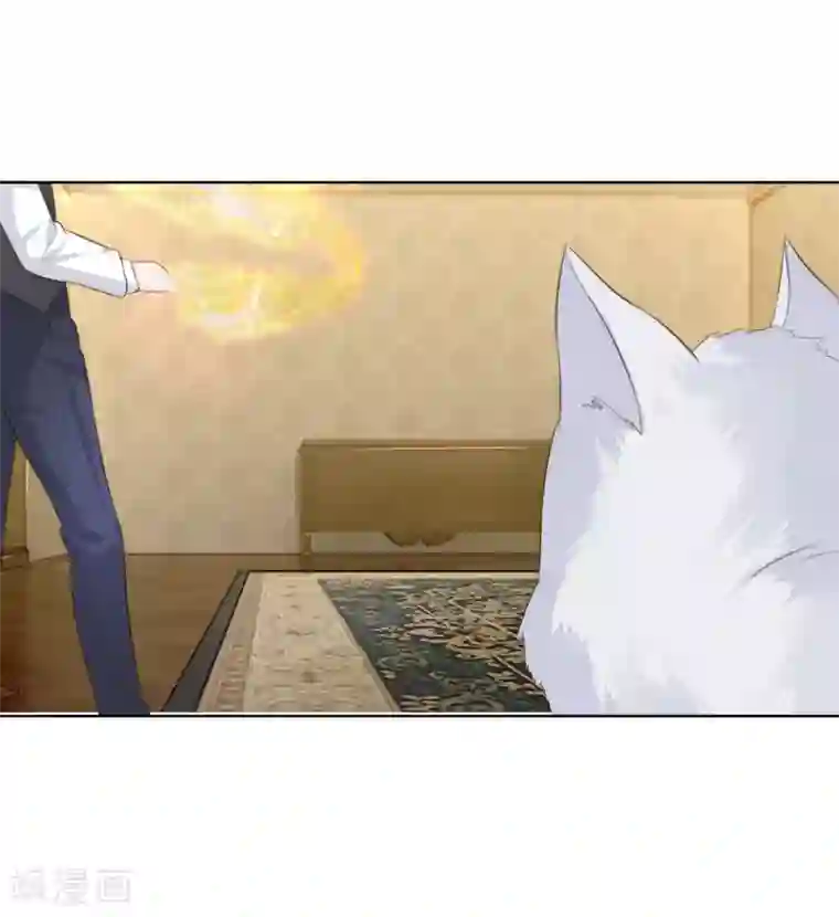 吸血鬼男神第215话 趋于平静