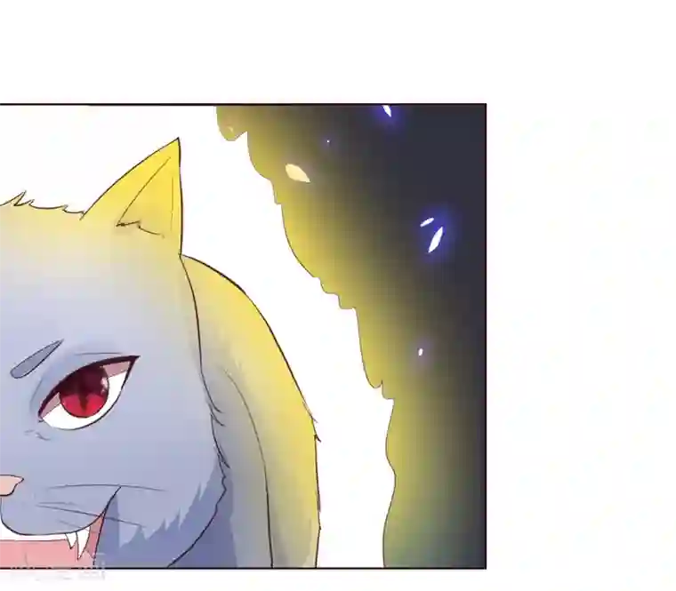 吸血鬼男神第227话 明世隐的未婚妻？