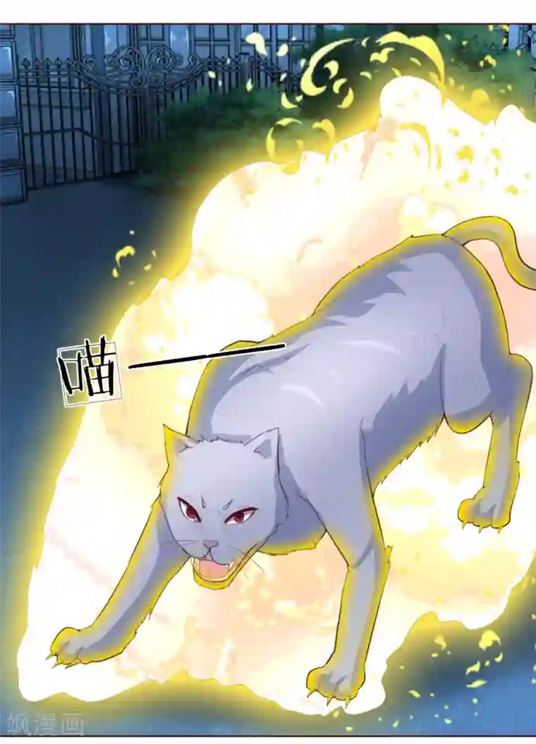 吸血鬼男神第228话 休想伤害球球！