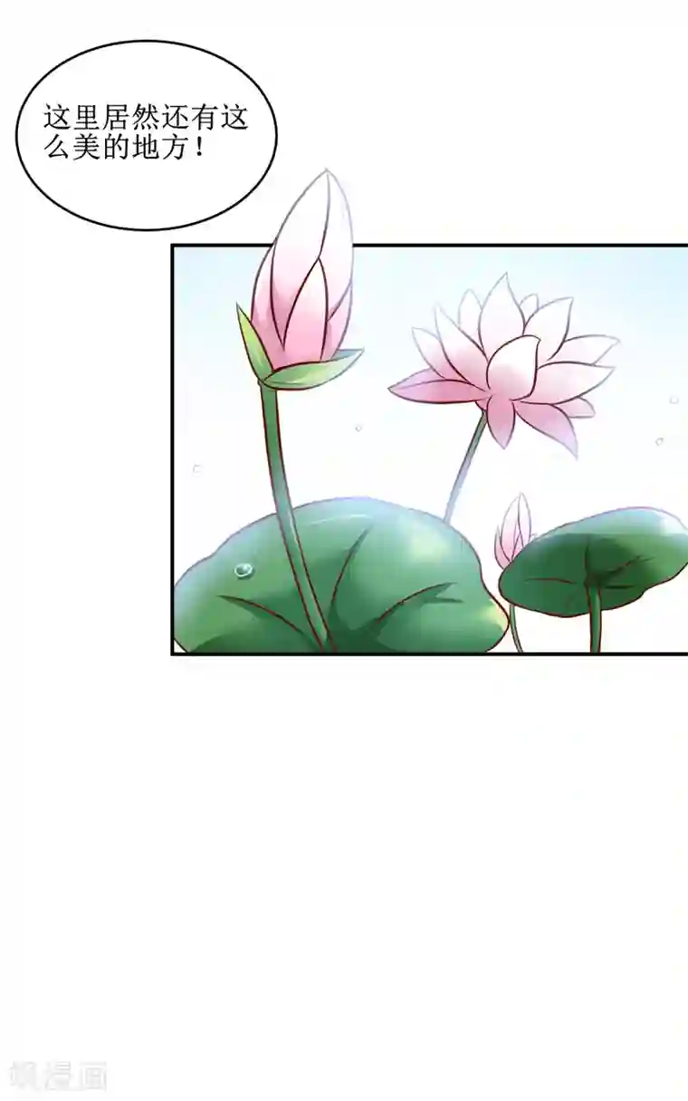 嗜血老公：错嫁新娘休想逃第106话 这么美的地方