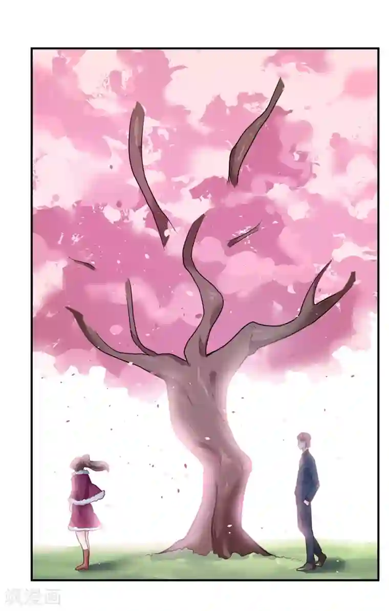 嗜血老公：错嫁新娘休想逃第130话 樱花开放的时节