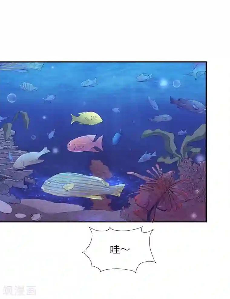 假戏真爱：我不是恶毒女配第25话 海洋餐厅