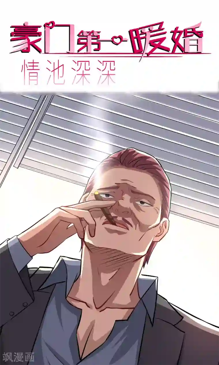 情池深深·豪门第一暖婚第14话 四大家族
