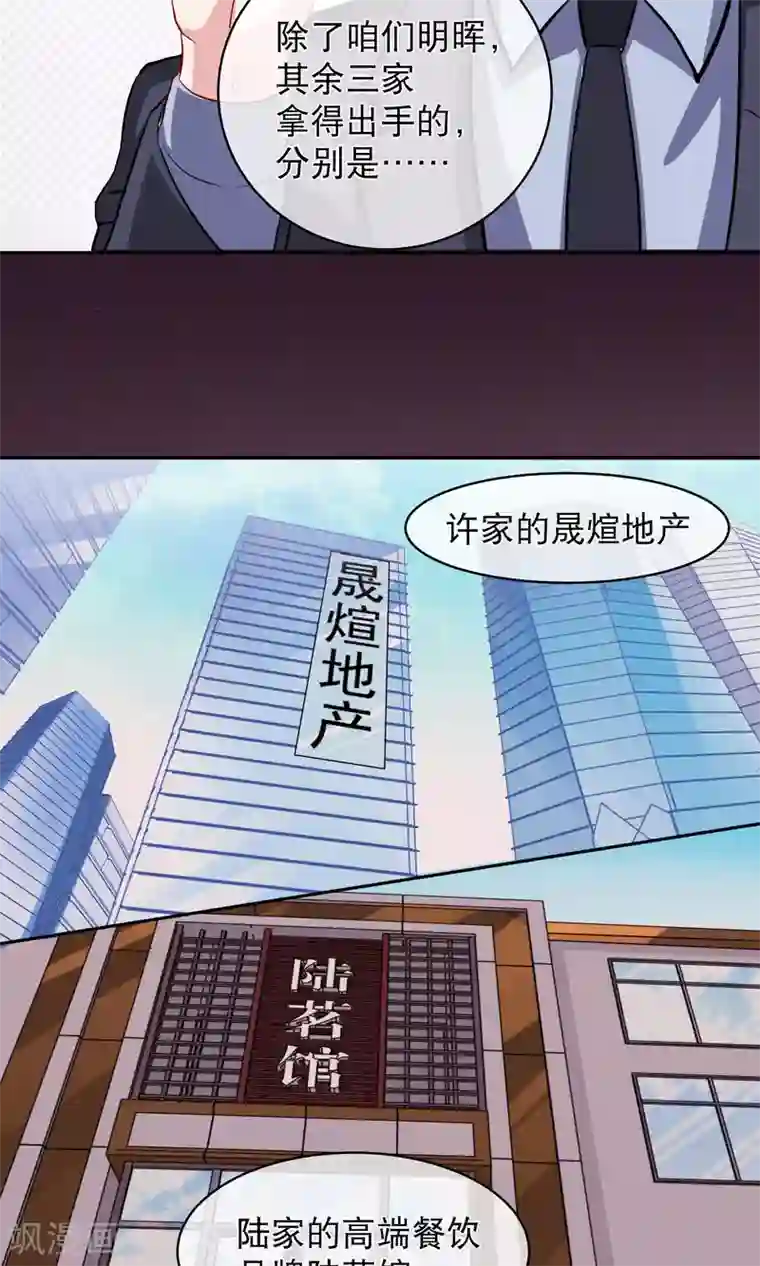 情池深深·豪门第一暖婚第14话 四大家族