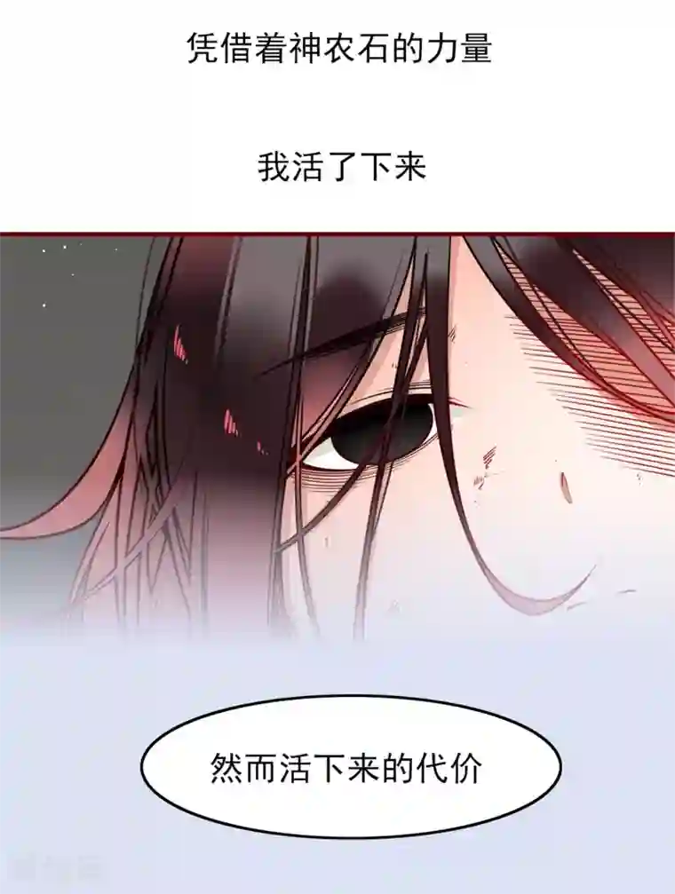 彼岸花序章 复仇之路
