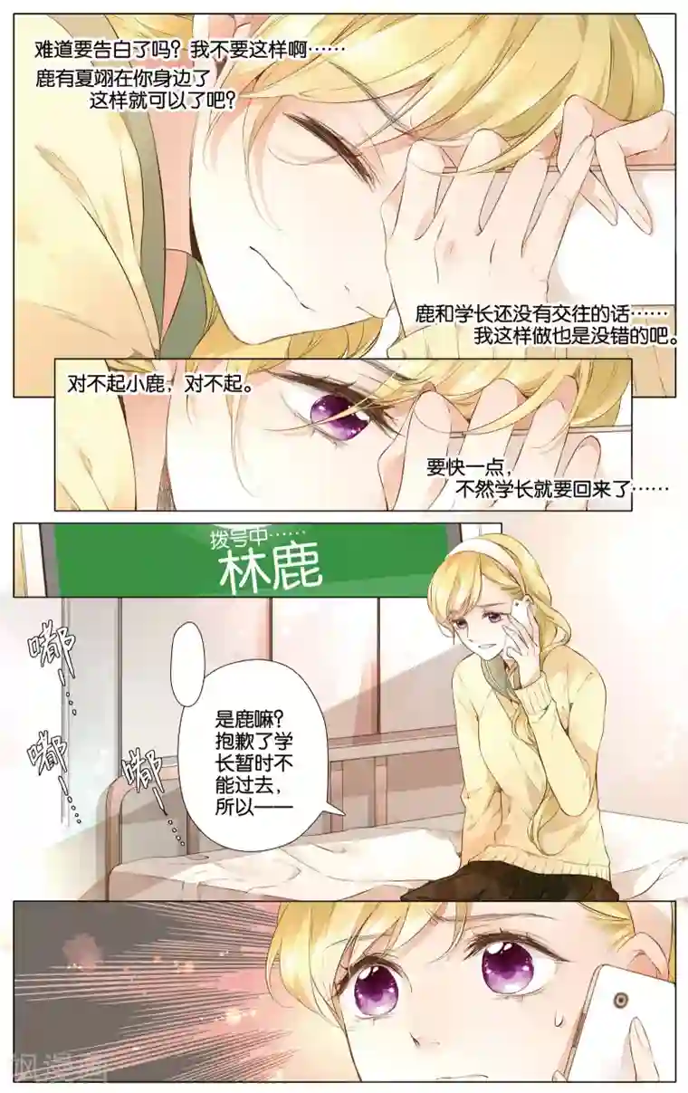 恋是樱草色第27话 学长的告白(上)