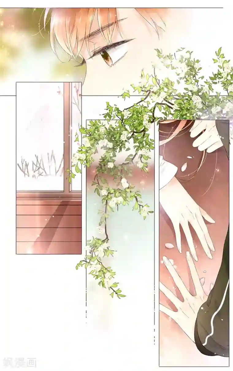 恋是樱草色第42话 花与吻(下)