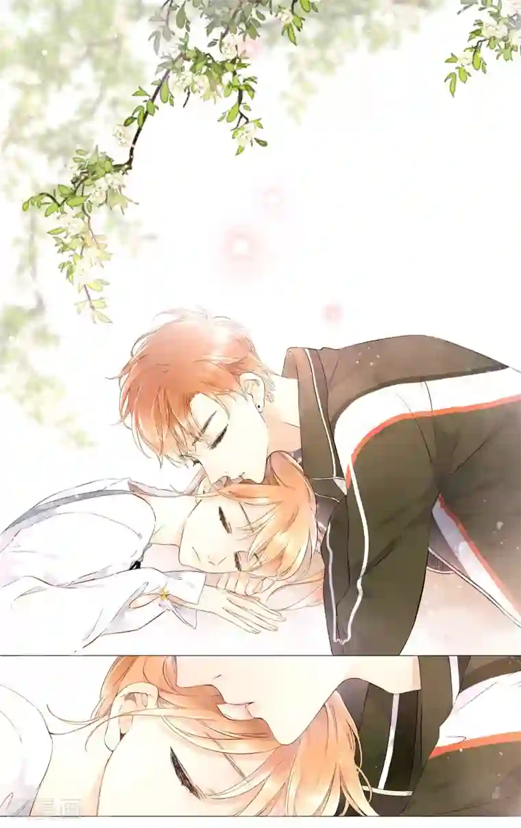 恋是樱草色第42话 花与吻(下)