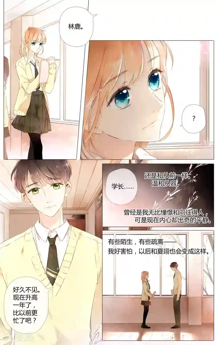 恋是樱草色第45话 因为喜欢你(上)