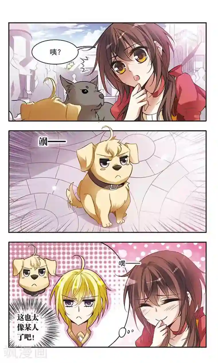 骑士幻想夜第48话 只说三字经的未来骑士