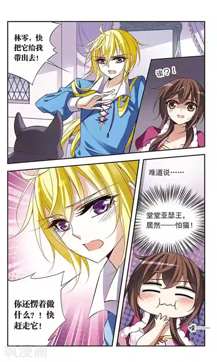 骑士幻想夜第73话 black cat