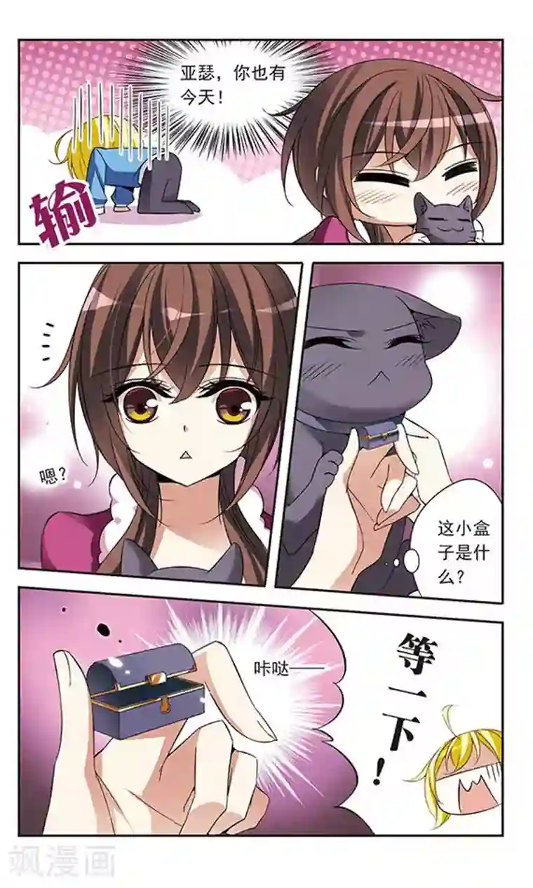 骑士幻想夜第73话 black cat