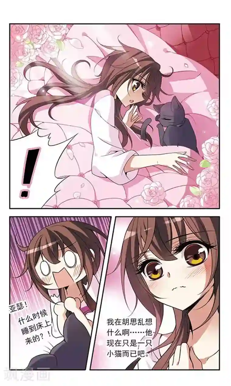 骑士幻想夜第74话 变身成猫的亚瑟