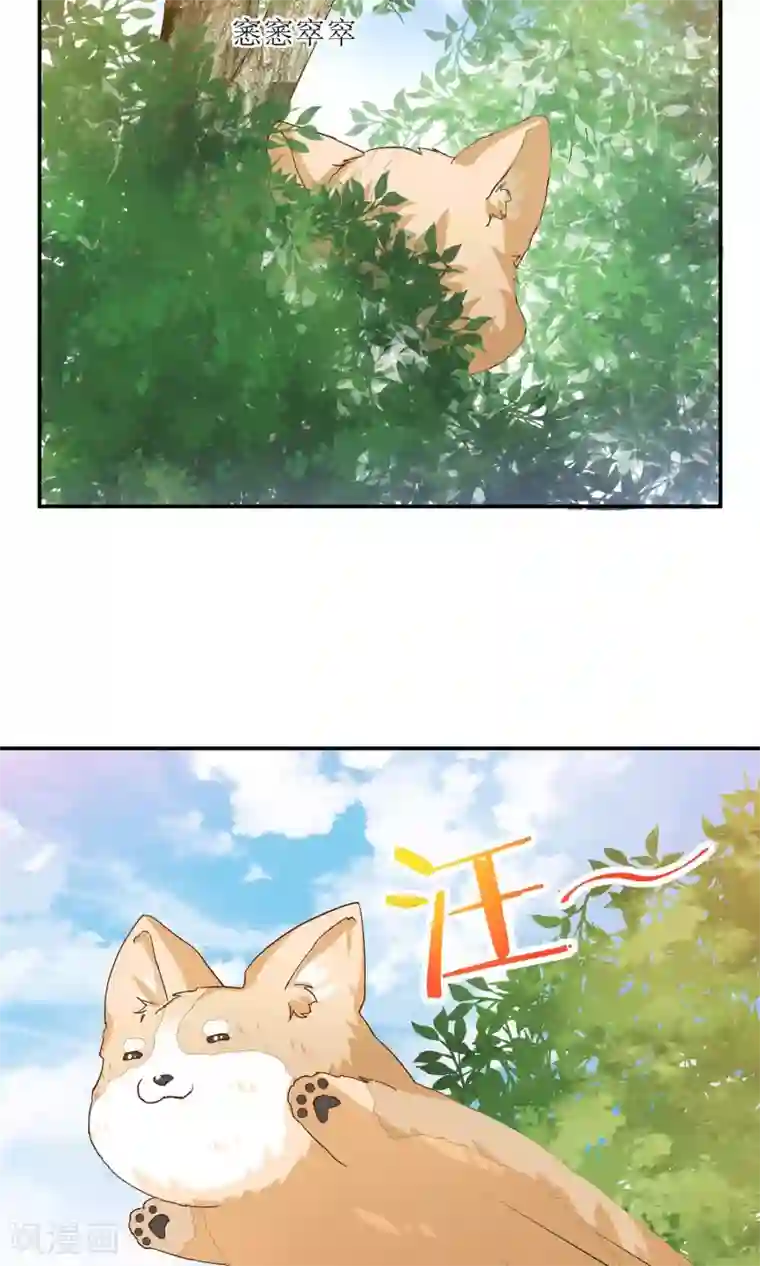 男神恋爱系统第6话 青梅竹马八块腹肌