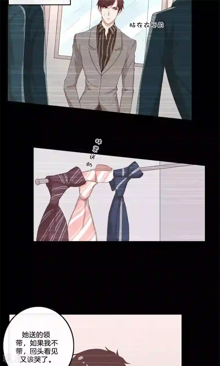 男神恋爱系统第28话 叶总的领带