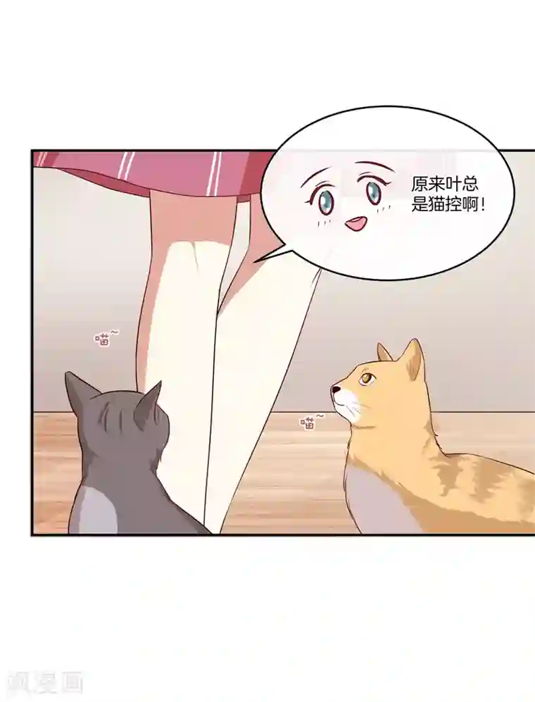 男神恋爱系统第42话 叶总生气了？