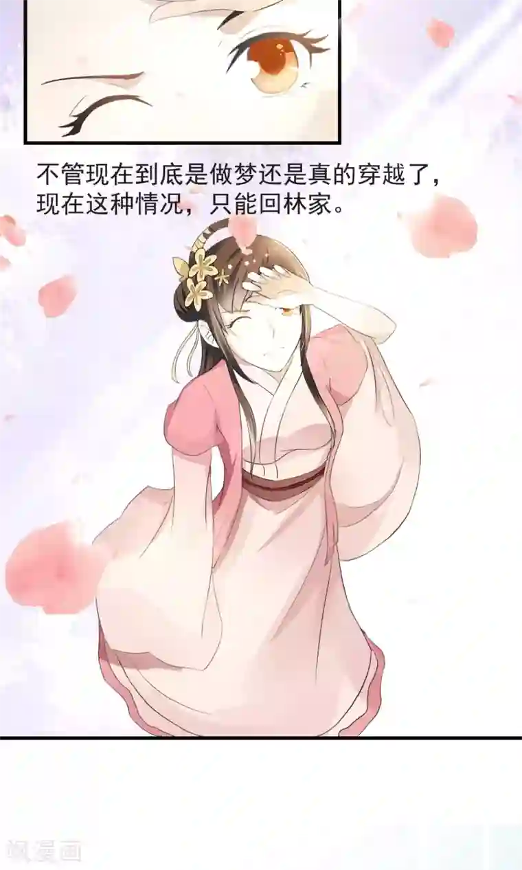 田园娇宠：农女世子妃第2话 丧尽天良一家子