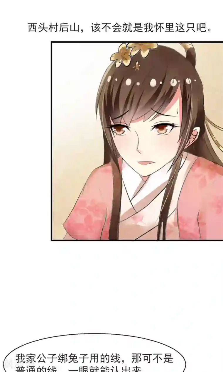 田园娇宠：农女世子妃第10话 卖兔遇上兔主人