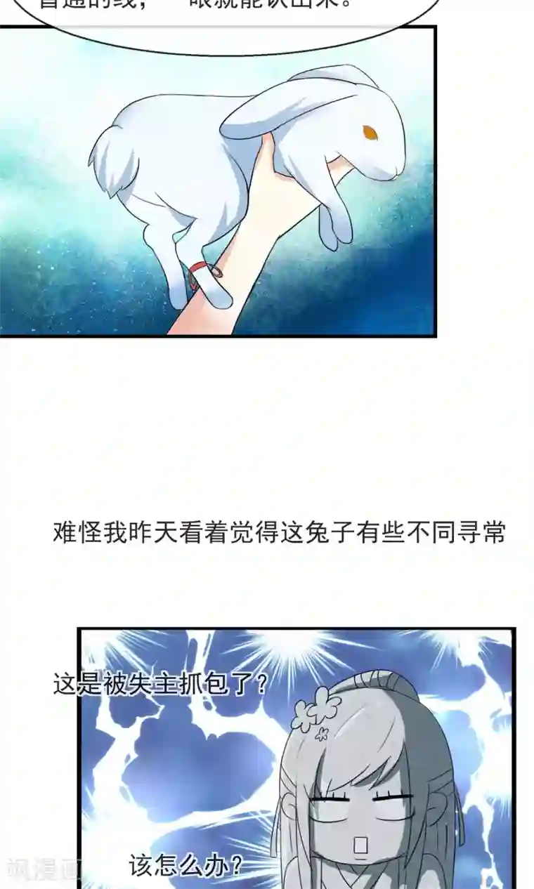田园娇宠：农女世子妃第10话 卖兔遇上兔主人