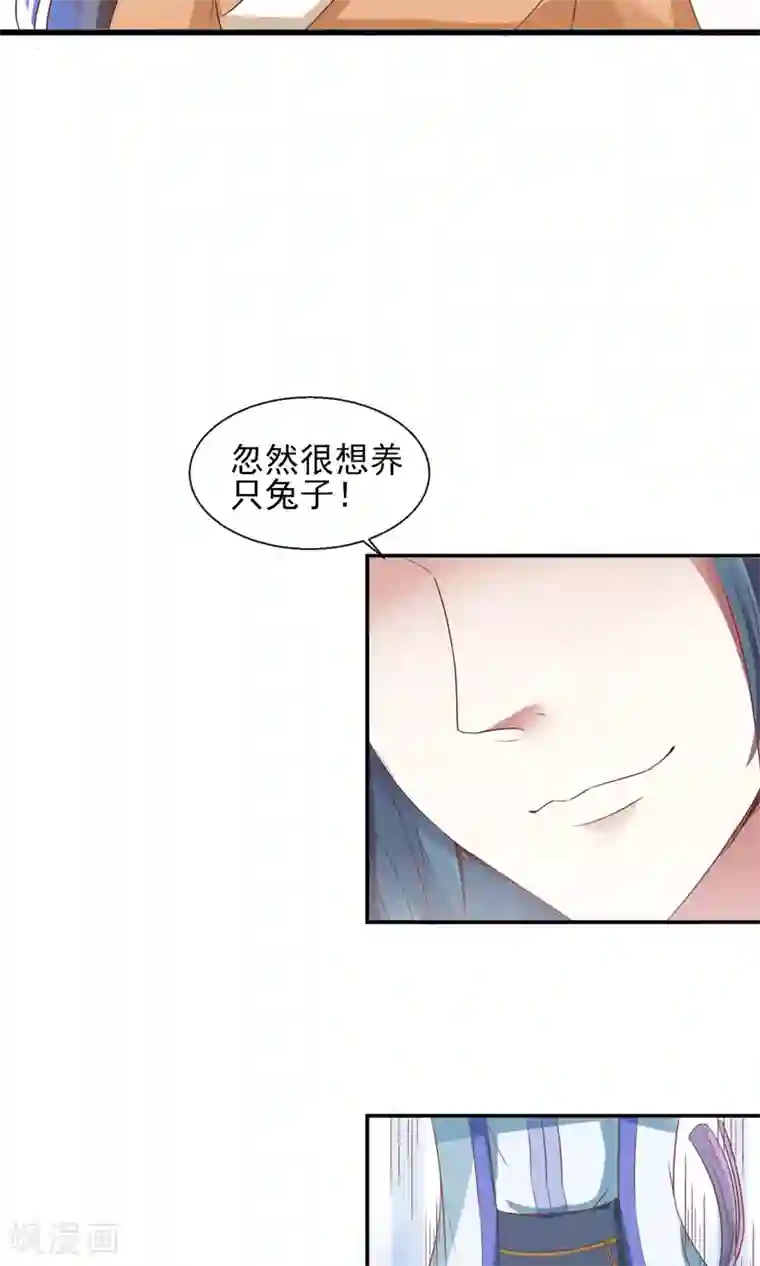 田园娇宠：农女世子妃第22话 有意思的兔子