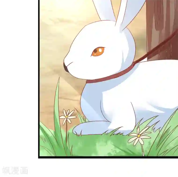 田园娇宠：农女世子妃第24话 赵大夫