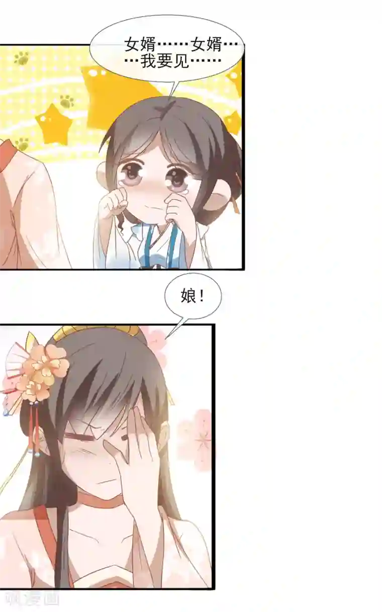 田园娇宠：农女世子妃第46话 女婿