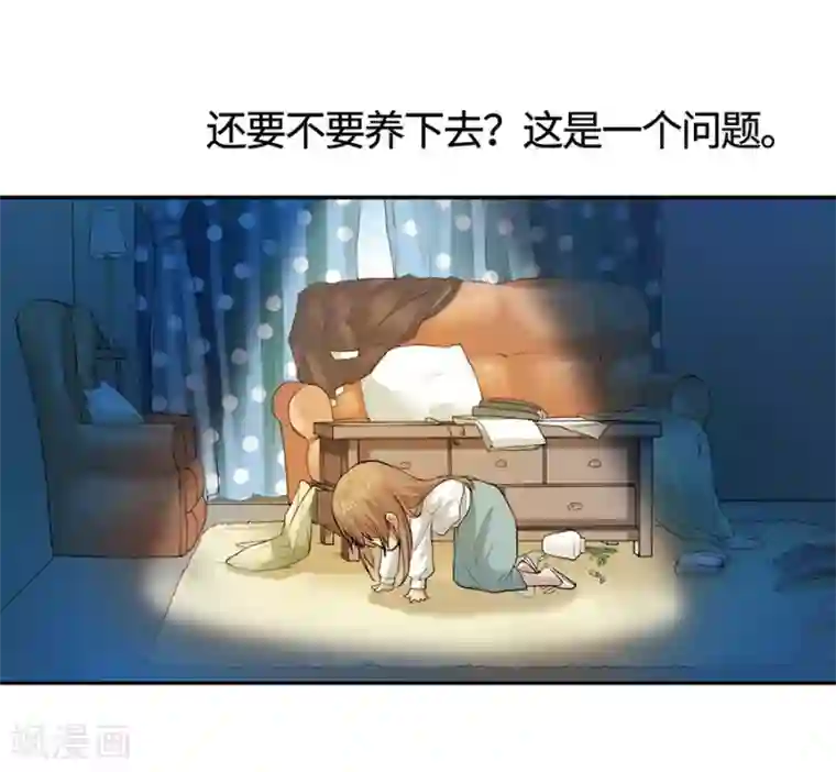 一千零一色号预告