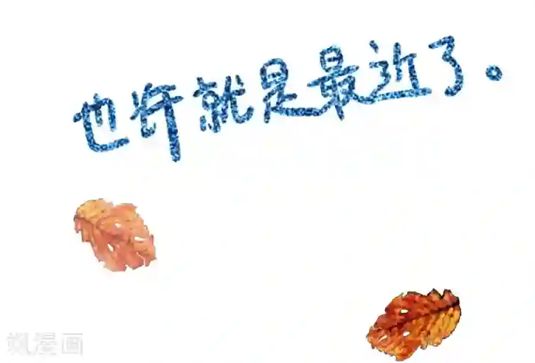 一千零一色号第1话3 枫叶