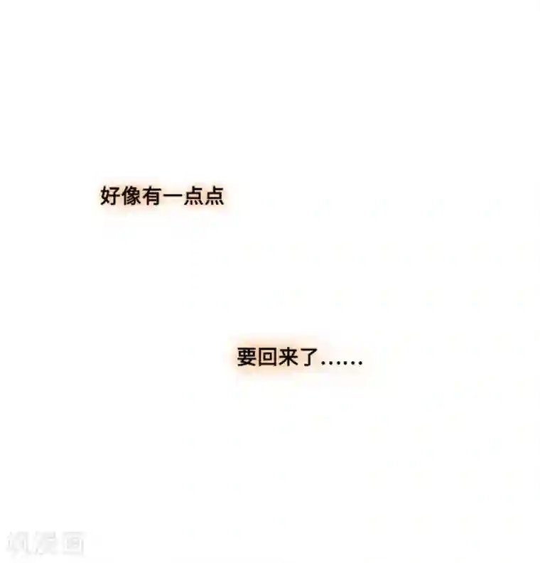 调教范冰冰张馨予小说第1话4 枫叶